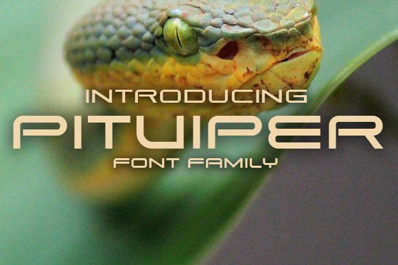 Pitviper: A Bold Display Typeface for Editorial Design